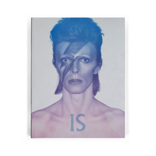 David Bowie Is &ndash; extended paperback edition exhibition book