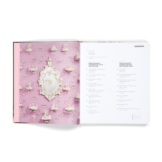 Marie Antoinette Style exhibition book